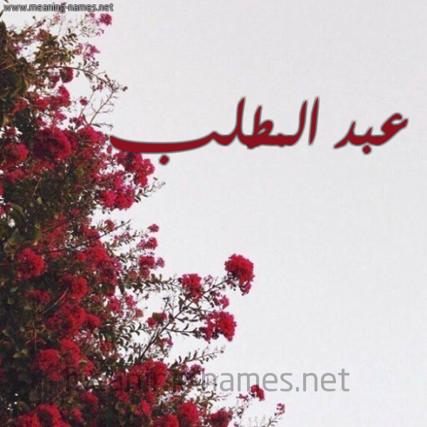 شكل 18 صوره الورد الأحمر للإسم بخط رقعة صورة اسم عبد المطَّلب ABD-ALMTALB
